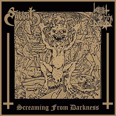 Vomit Of Doom : Screaming from Darkness